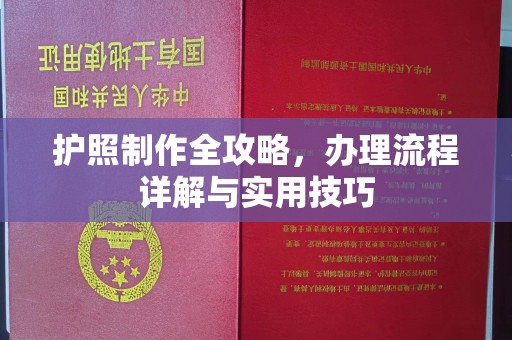 融水护照制作全攻略，办理流程详解与实用技巧