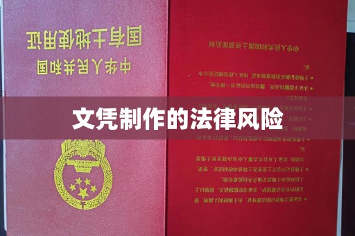 融水文凭制作的法律风险