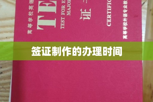 融水签证制作的办理时间