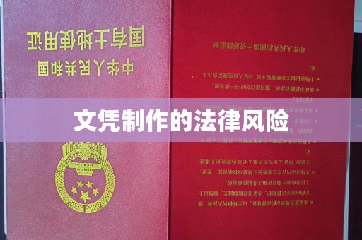 融水文凭制作的法律风险