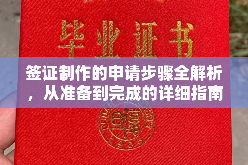 融水签证制作的申请步骤全解析，从准备到完成的详细指南