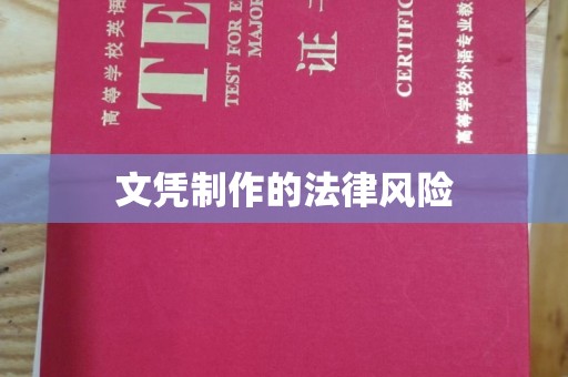 融水文凭制作的法律风险