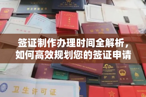 融水签证制作办理时间全解析，如何高效规划您的签证申请流程